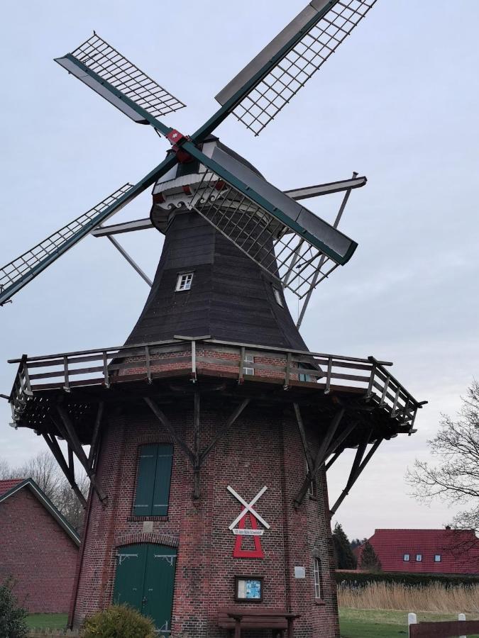 Kleinaberfein An Der Nordseekueste Schweindorf Exterior photo